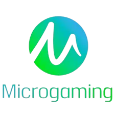 1Win Microgaming